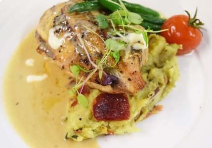 1233 modern australian food