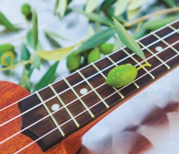 guitar