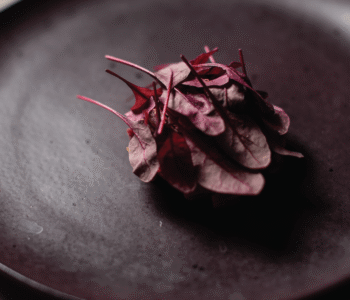 food on plate