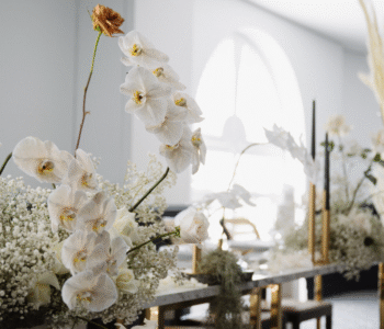 the greek club west end brisbane utopia wedding showcase