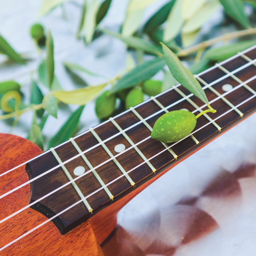 guitar