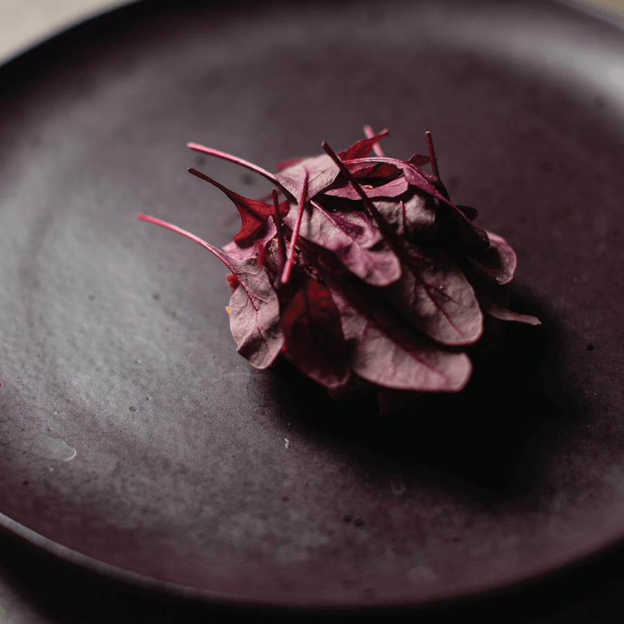 food on plate