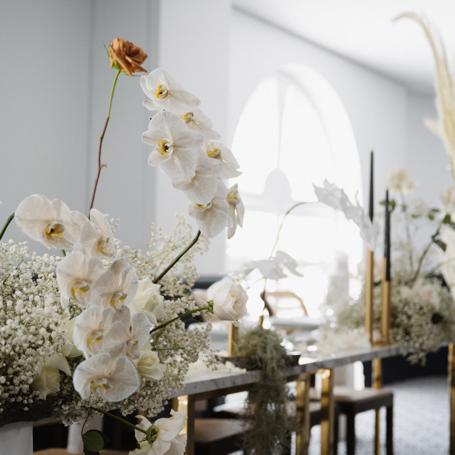 the greek club west end brisbane utopia wedding showcase